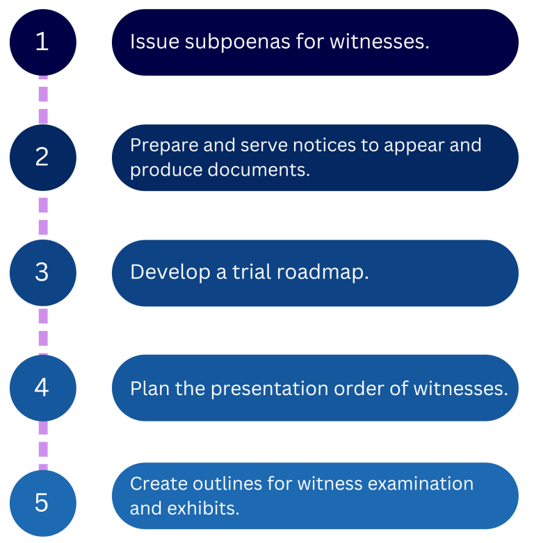 Trial Preparation Guide for Lawyers